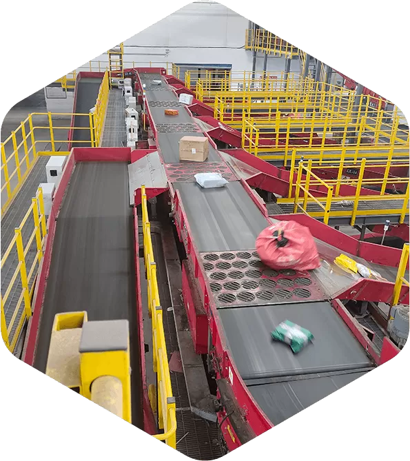 Medium Speed Multi-wheel Sorter