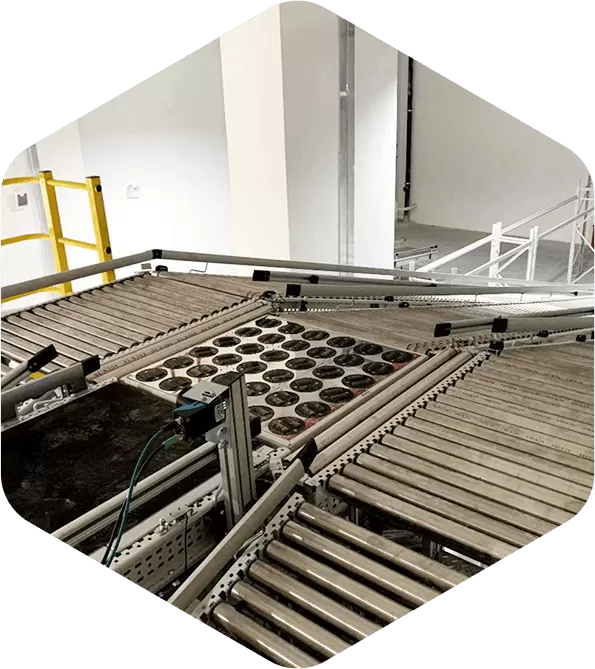 Super High Speed Multi-wheel Sorter