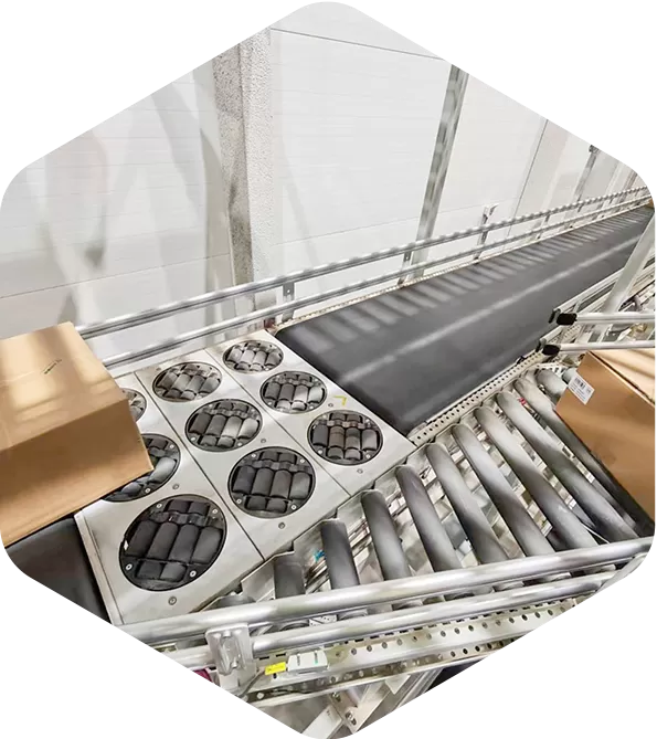 Standard Multi-wheel Sorter