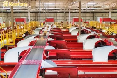 Technological Innovation Shapes a New Paradigm for Sustainable Logistics: Keefam's Green Practices under the ESG Concept